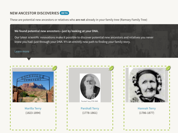 Because I had linked my family tree account to my genetics results, I received little leaf symbols next to some potential Ramsey family ancestors.