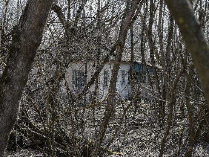 Walking through the ghost town is akin to stepping through time, rediscovering a piece of history frozen in place.