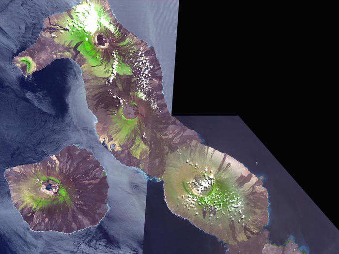 The volcanoes of the Galapagos Islands pushed them out of the Pacific Ocean.