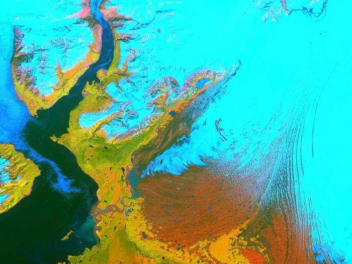 ASTER tracks the size of glaciers, like the Malaspina shown here from Alaska. The ice is in blue and vegetation is in yellow.