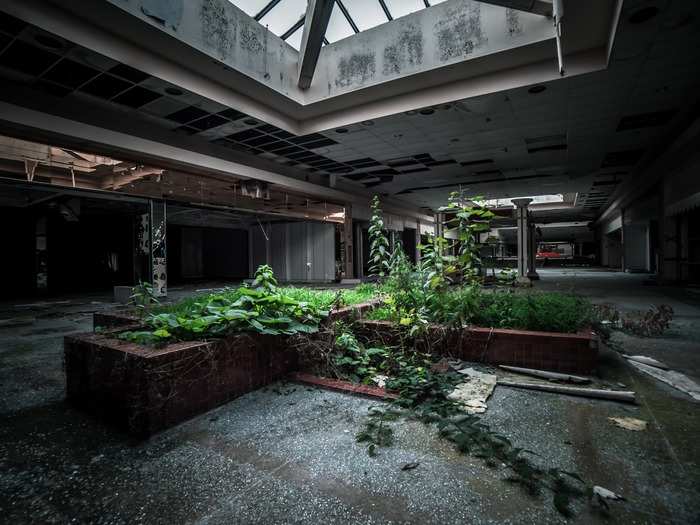 These dying malls are not upscale or low scale — they fall right in between. "Middle-level malls are disappearing," Howard Davidowitz, chairman of Davidowitz & Associates Inc., a national retail-consulting and investment-banking firm, said. "Developers are trying to do all kinds of things to save them, but at the end of the day, half of them are going to close."