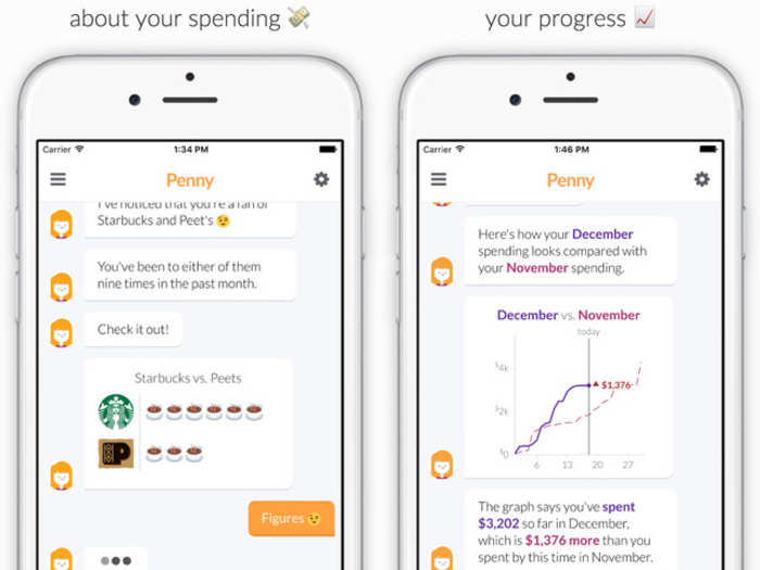 Penny is a chat-based budgeting coach that alerts you about important transactions.