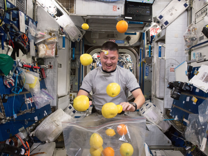 Behavioral psychologists help the astronauts feel at home in outer space.