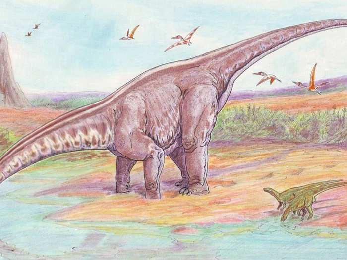MYTH: This dinosaur is called a Brontosaurus.