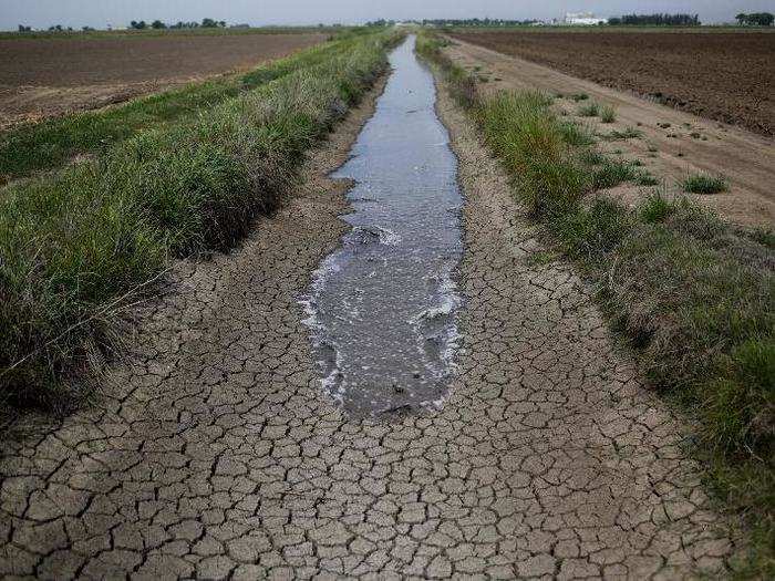 Irrigation water runs along a dried-up ditch between rice farms to provide water for fields in Richvale, an agricultural town north of Sacramento.