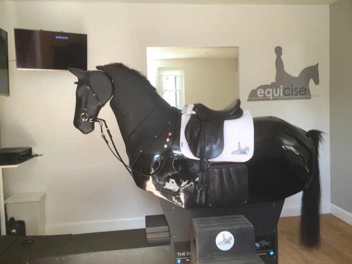 She invested £50,000 into buying a high-tech mechanical horse for riders to perfect their position, improve their riding and increase their fitness. It is housed in a former stable.