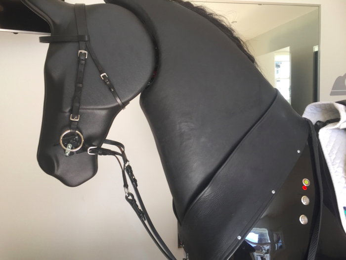 The horse has several sensors on the leg pads, the head and neck and rides like a real horse.