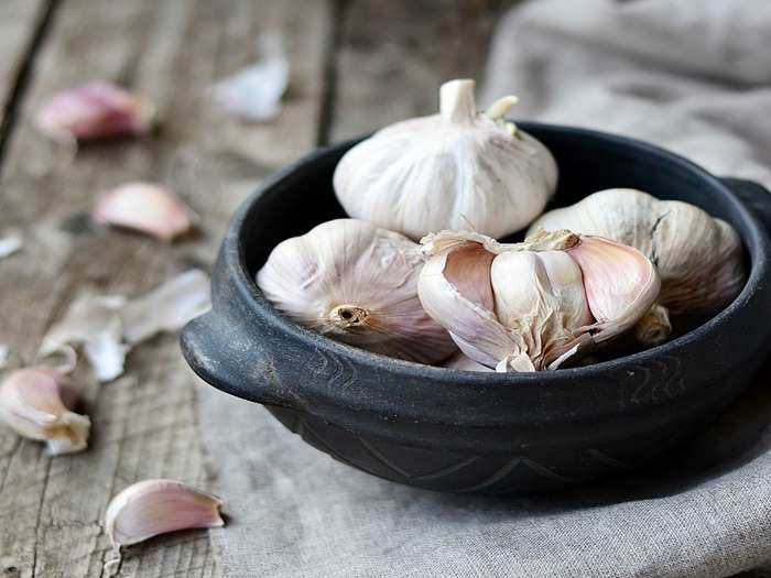 Garlic