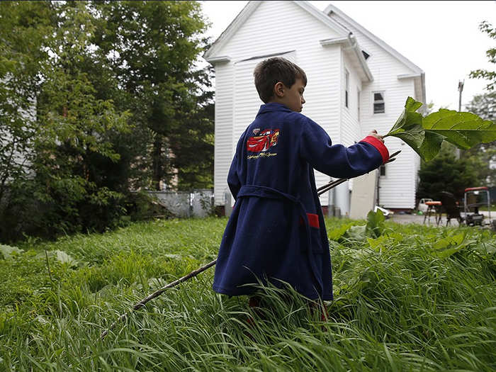 On the first morning, Strider plays in the backyard of his new home, an old rectory in Lisbon, Maine. The yard was fenced and tucked into a neighborhood, so different from the woods he called home.