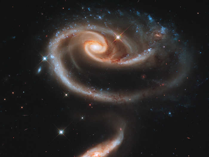 This "rose," released for Hubble