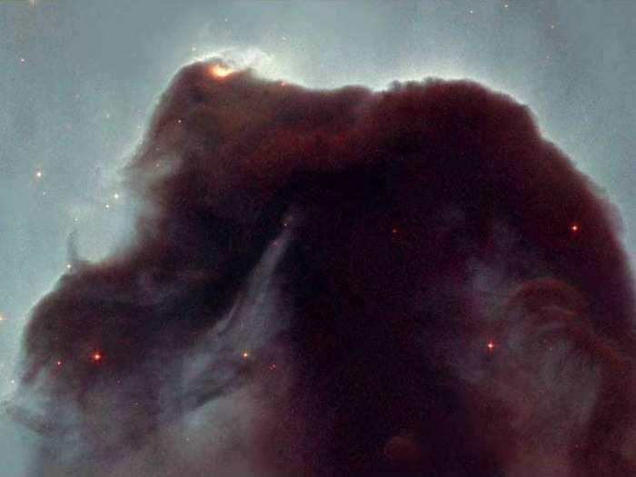 This eerie image is of the Horsehead Nebula, which the Hubble team called "one of the most photographed objects in the sky," was shared on the telescope