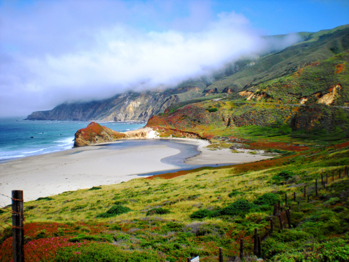 The Big Sur region of California offers visitors awesome whale-watching opportunities, but recent droughts and wildfires have been harming the coastal region, leading to fewer sightings of the aquatic mammals every year.