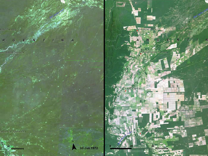 Deforestation of the Salta Forest, Argentina, 1972 vs. 2009