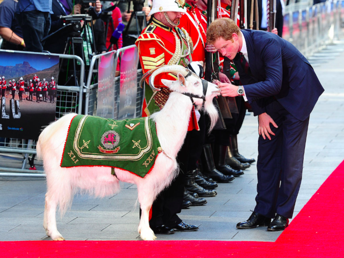 The 3rd Battalion The Royal Welsh also have a goat. He