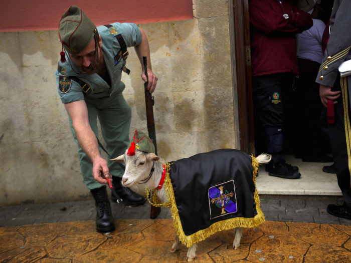 Divisions of the Spanish Legion each have their own goat mascot. Here