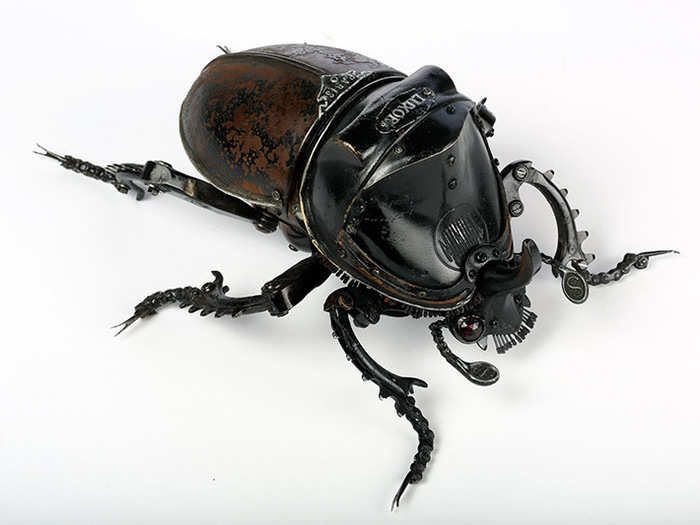 Rhinoceros Beetle