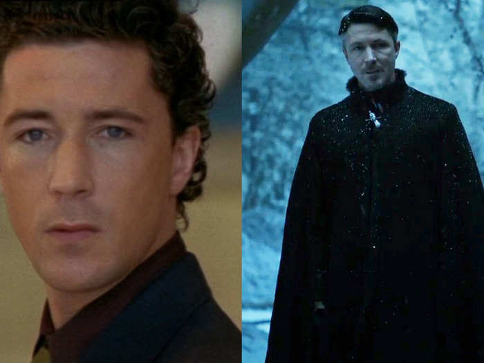 Aiden Gillen starred in a number of roles before receiving critical acclaim for his role in the British series "Queer as Folk." Fans may also recognize the actor, who plays Petyr Baelish (Littlefinger), from HBO