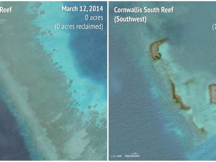 Cornwallis South Reef (Southwest): 2014 - 2016