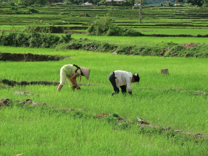 As we began our climb into the mountains, Vietnam