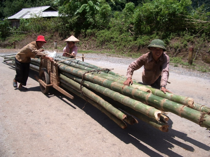 You never knew what you were going to see. Here, some locals are pushing bamboo up the mountain.