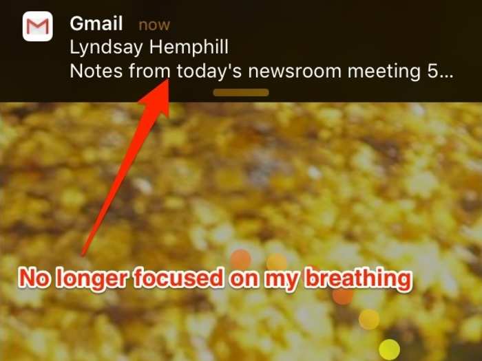 Also, because you need to use your phone for the sessions, push notifications still pop up at the top (unless you turn them off entirely, which I was wary of doing). I was distracted more than once and even decided to end a session early to respond to a message.