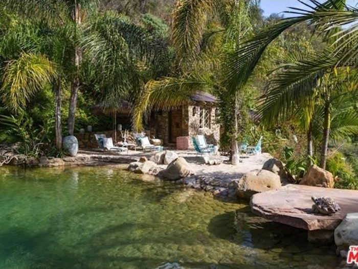 A private swimming pond adds to the jungle vibe.