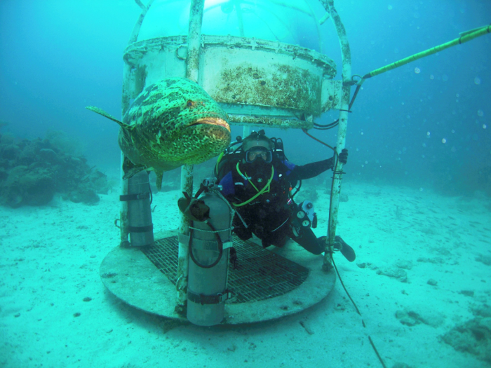 Surrounded by water, it’s perfect for the NASA Extreme Environment Mission Operations (NEEMO) program — and it even comes with alien life.