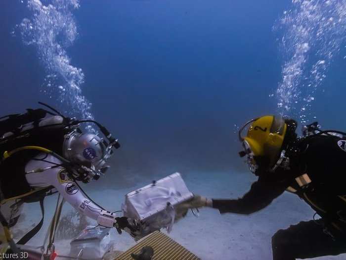 The lab is also a hub for testing new underwater technologies. Heithaus says they’re using new sonar tech to create video images that can help them study sharks.