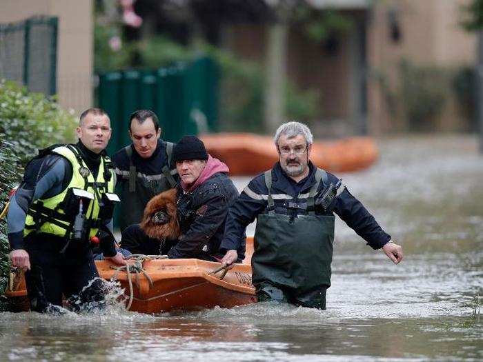 Pets are part of the rescue efforts.