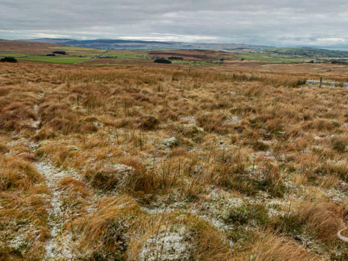 The Shillanavoghy Valley, near Slemish Mountain in Northern Ireland, was the perfect choice for the Dothraki grasslands of Essos.