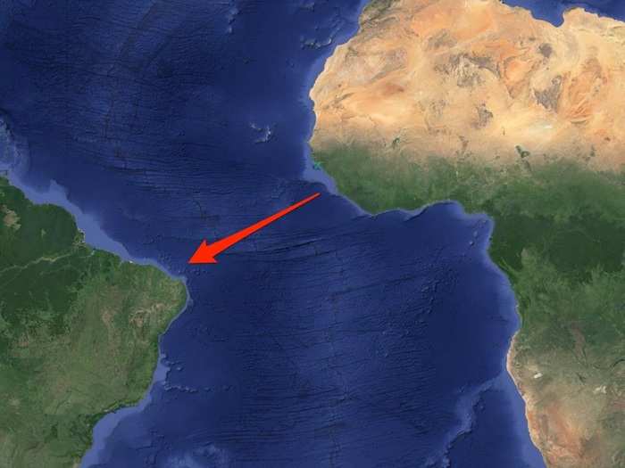 Rafts across the Atlantic Ocean explain how many animals, which are now native to South America, managed to populate the continent.