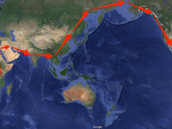 Of course, no list of animal journeys would be complete without our own species. We managed to walk all the way from East Africa through Asia, over a frozen Bering Strait into North America, and through South America.