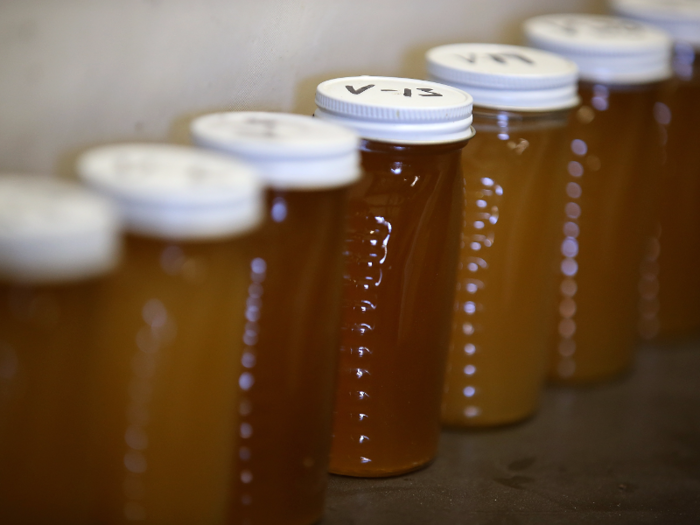 Honey is made from nectar and bee vomit.