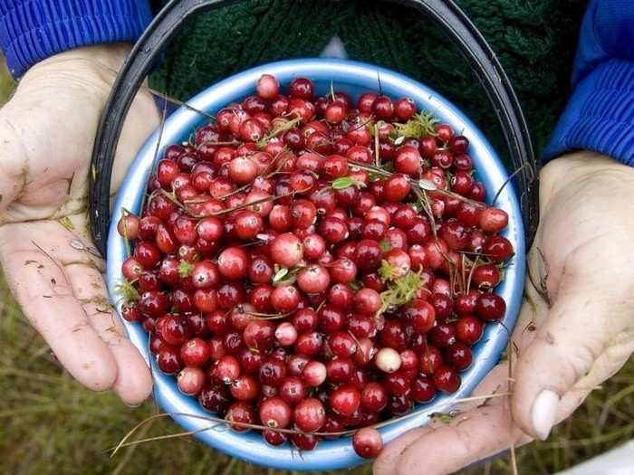 Ripe cranberries will bounce like rubber balls.