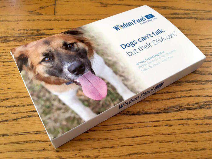 When I got the chance to test her DNA, I seized it. There were several options to choose from, but I picked the Wisdom Panel DNA test developed by MARS Veterinary, the world