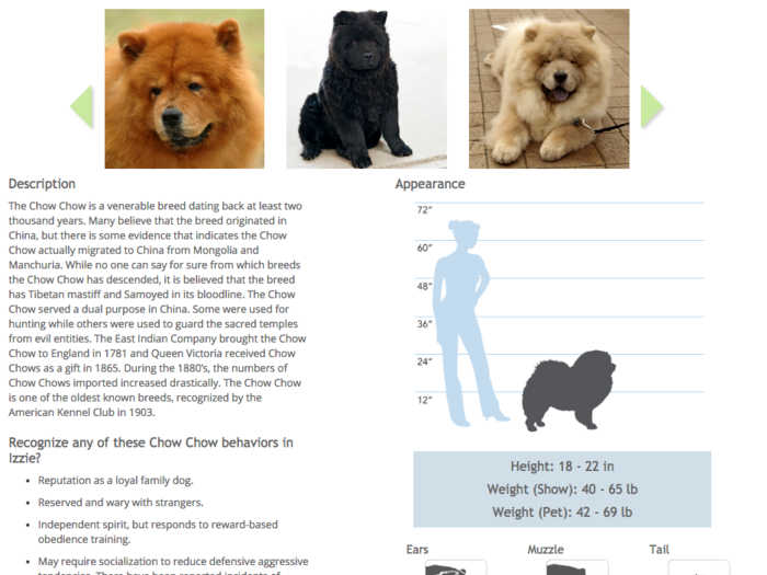 Onto the next part of her DNA: 25% Chow Chow. To me at least, Izzie doesn