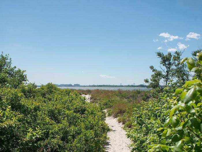 But soon the grass gives way to sand, and the path opens up onto the beach.