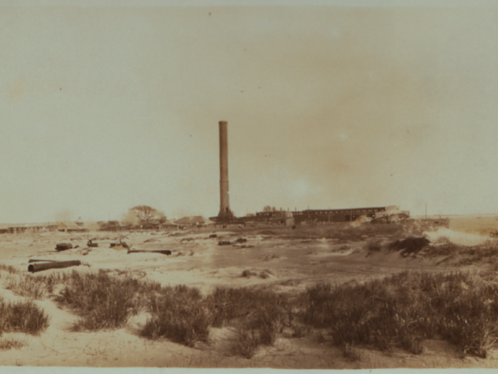 People came to Barren Island to build what Julie Golia, a historian for the Brooklyn Historical Society, told Tech Insider was a "noxious industry." For example, the horse disposal plant in this photograph.