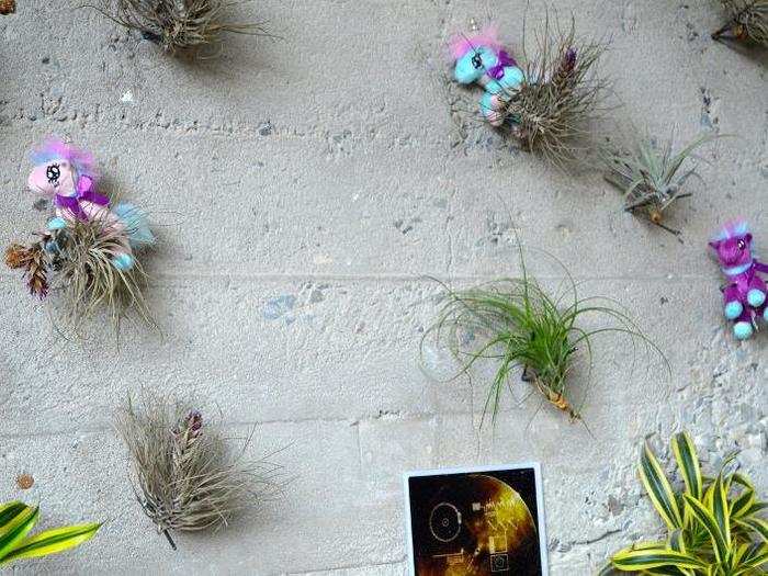 Sometimes that comes in the form of a pack of ponies galloping through the air plants.