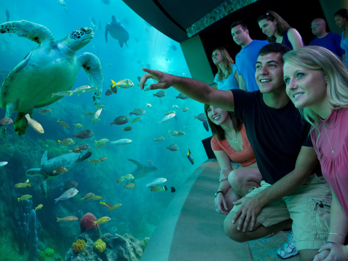 10. SeaWorld Orlando
