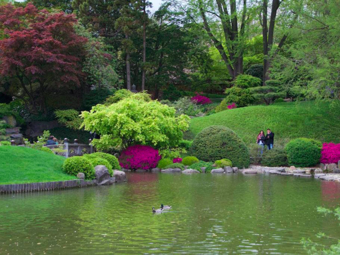 Smell thousands of roses and enjoy the serenity at the Brooklyn Botanic Garden. Admission is free every Tuesday.