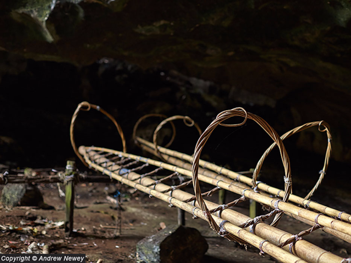 At this point, the men inside the cave take the ropes and tie them to handmade bamboo rattan ladders and scaffolding poles. These ladders will be hoisted up to the cave, at which point collectors will climb the ropes to assemble the scaffolding.