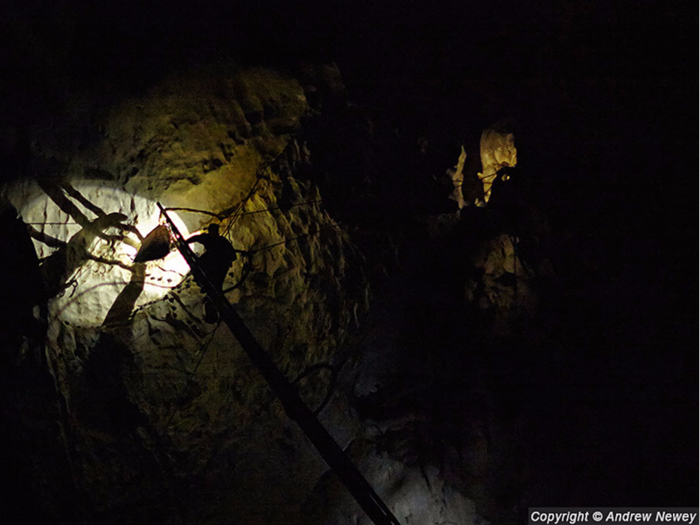 The sun typically hits the cave during the day and allows for some light, though some parts of the cave will remain pitch black all day. That