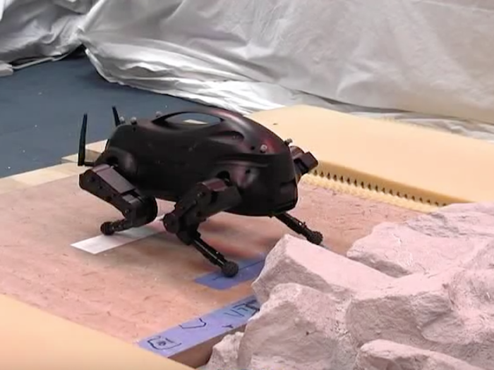 This beetle-looking robot is called Little Dog and was built to study locomotion.