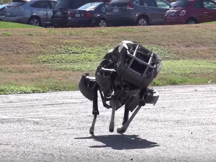 WildCat is the next generation of the Cheetah robot because it can run untethered.