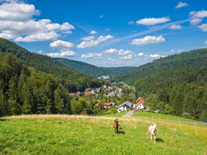 Hike through the lush, densely wooded Black Forest, then indulge in the forest