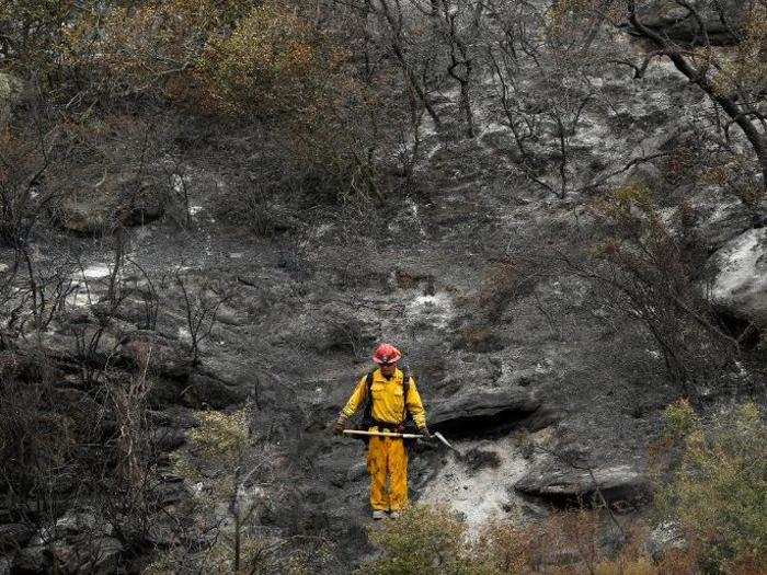 The state of California has invested $6 million in equipment that will be used to clear away 30 million dead trees, killed by drought and bark beetles, before they go up in flames.