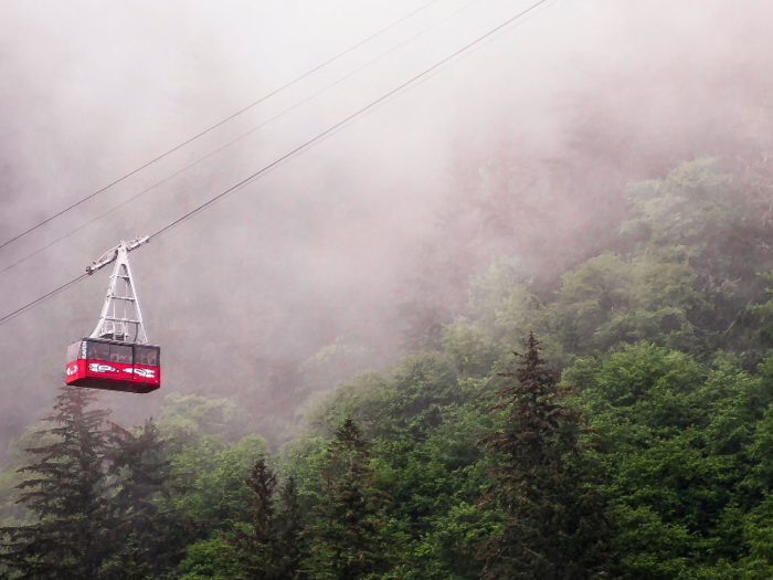 Head up to an 1,800-foot summit with the Mt. Roberts Tramway in Juneau for amazing views of the historic town, the Gastineau Channel, and the surrounding mountains.