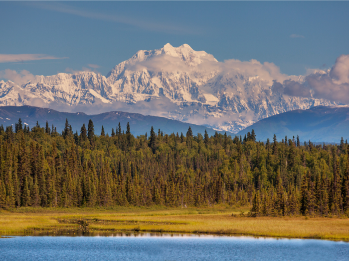 Take in the awe-inspiring beauty of Denali National Park on a drive or bus tour. There