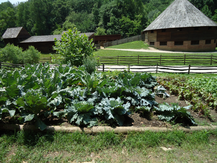 He oversaw many landscape improvements to the property, grew a variety of crops, and maintained fruit orchards at Mount Vernon. In addition to being aesthetically pleasing, his gardens were practical and provided food for the mansion.